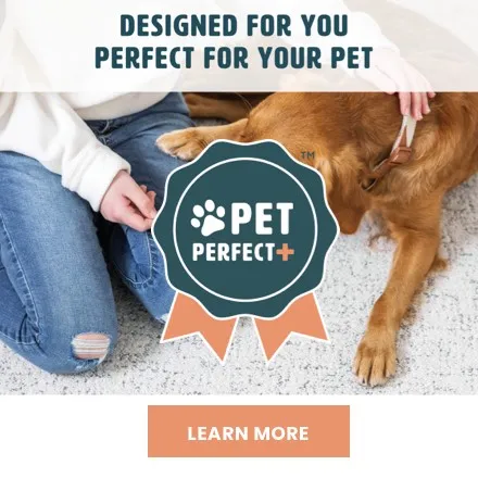 Pet Perfect | Custom Carpet Centers